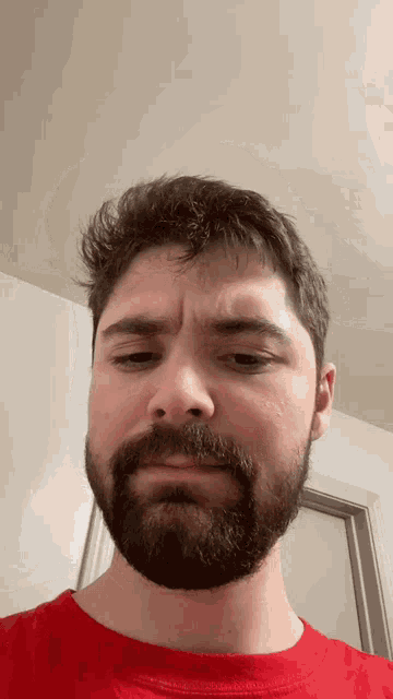 a man with a beard and a red shirt looks at the camera