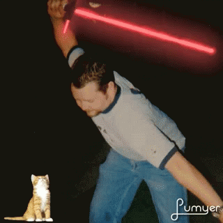Kitten Lightsaber GIF - Kitten Lightsaber GIFs