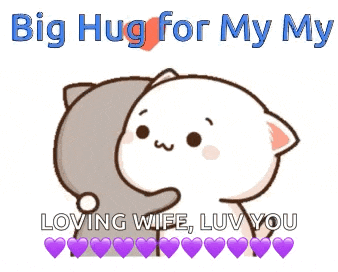a cartoon of a cat hugging another cat with the words big hug for my loving wife luv you