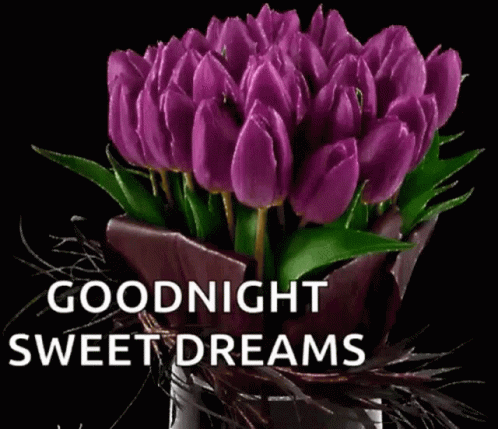 Sweet Dreams Good Night GIF - Sweet Dreams Good Night Tulips GIFs