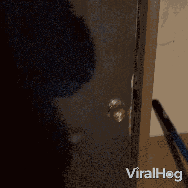 a close up of a door with the word viralhog on the bottom right