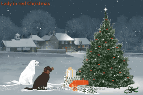 Bienvenidos al nuevo foro de apoyo a Noe - Página 2 Christmas-tree-christmas-lights