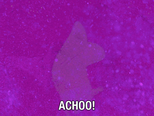 a purple background with the words achoo written below it
