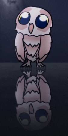 a drawing of an owl is reflected in a mirror