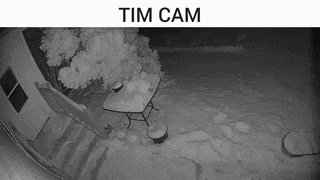 a black and white photo of a snowy patio with the words tim cam written above it