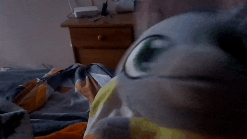 a cat is laying on a bed in front of a nightstand
