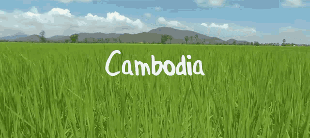 Khmer Cambodia GIF - Khmer Cambodia Cambodia Rice GIFs