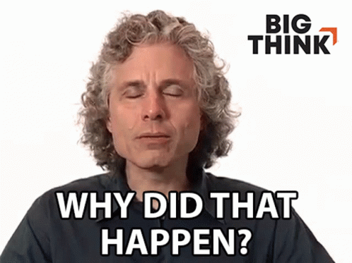 Why Did That Happen Steven Pinker GIF - Why Did That Happen Steven Pinker Big Think GIFs