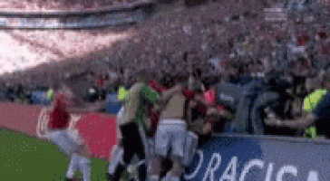 a group of soccer players are celebrating a goal on a field .