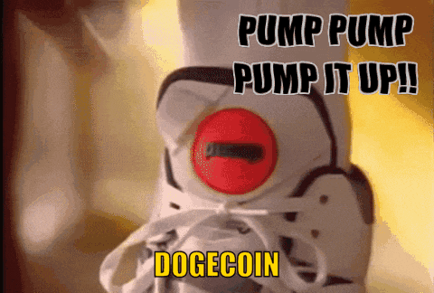 a picture of a shoe that says dogecoin on it