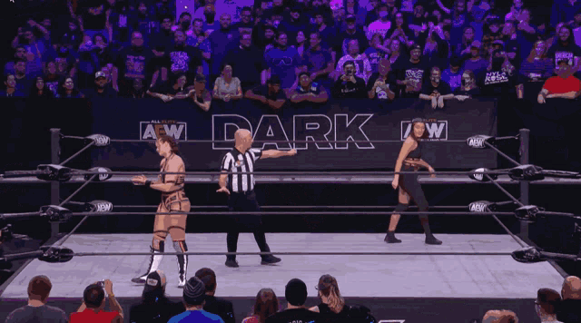 a wrestler in a dark wrestling ring with a crowd watching