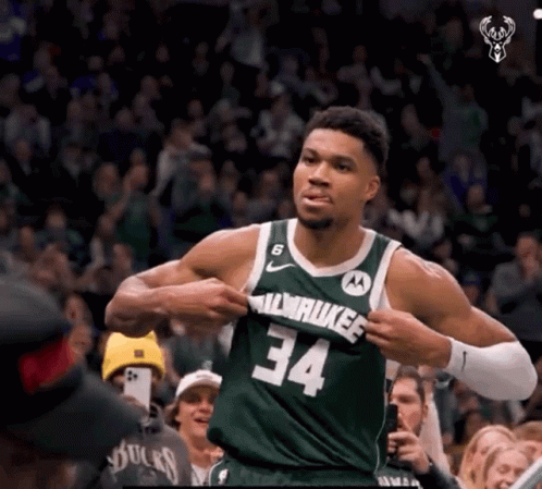 Milwaukee Bucks GIF - Milwaukee Bucks Giannis GIFs