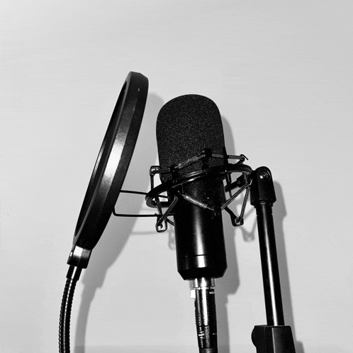 a black microphone with a filter attached to it