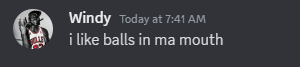 a screenshot of a conversation between windy and i like balls