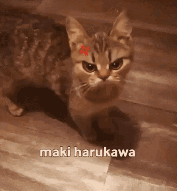 Danganronpa Maki GIF - Danganronpa Maki Maki Harukawa GIFs