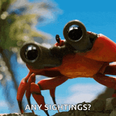 a crab with binoculars on its head is asking for any sightings