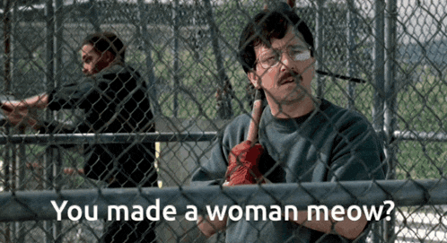 a man behind a chain link fence with the words " you made a woman meow "