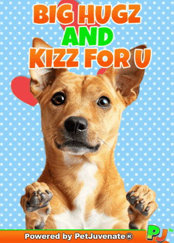 a poster of a dog with the words big hugz and kizz for u