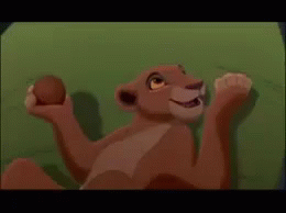 Coconut GIF - Coconut Lion King Catch GIFs