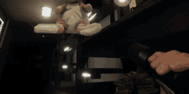a person is holding a flashlight in front of a stuffed animal on a shelf