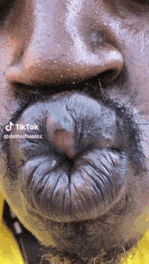 Bibirseksi Tawangakak GIF