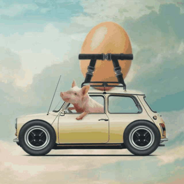 a pig is driving a car with a large egg on the roof