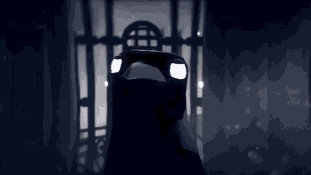 a silhouette of a person in a dark room with a fence behind them