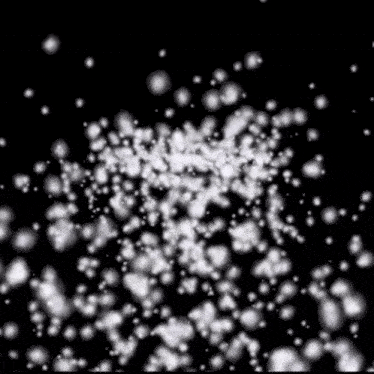 a bunch of white snowflakes are falling on a black background