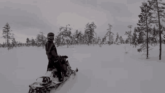 a person riding a snowmobile in a snowy forest
