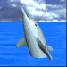 a dolphin is jumping out of the water in a video game .