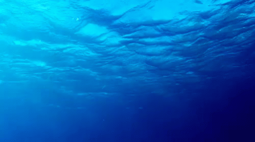 Ocean Blue Water GIF - Blue Ocean Oceanblue GIFs
