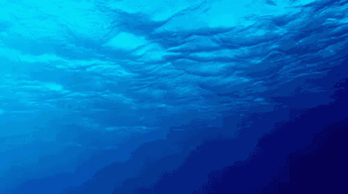looking up at the surface of the ocean with the sun shining through the water