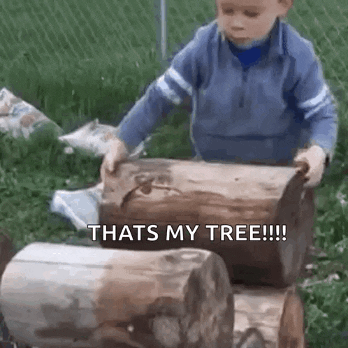 a little boy is standing next to a pile of logs and says `` that 's my tree ! ''