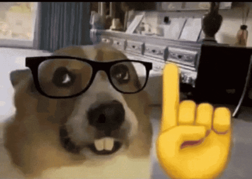 a dog wearing glasses and a yellow hand giving the peace sign