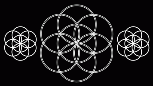 Flower Of Life Sacred Geometry GIF - Flower Of Life Sacred Geometry Iwadp GIFs
