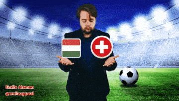 a man in a suit stands in front of a soccer field with a swiss flag and a hungarian flag