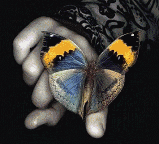 a person is holding a blue and yellow butterfly in their hand