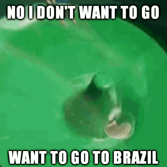 a shark is swimming in a green pool with the caption " no i don t want to go want to go to brazil "