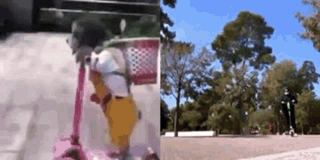a little girl is riding a pink scooter in a park