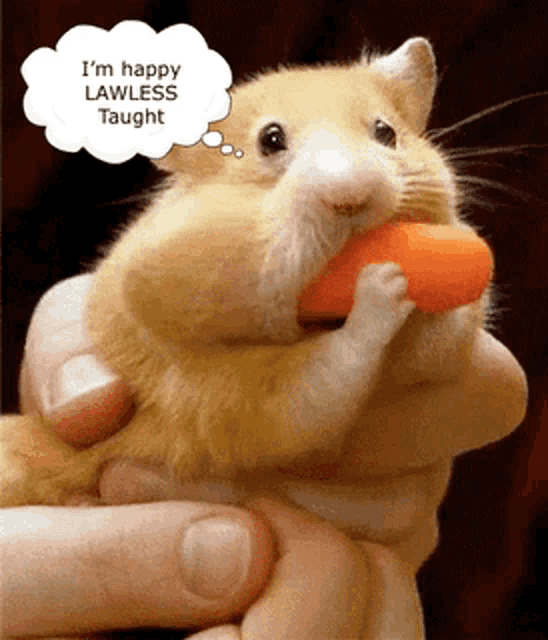 a hamster eating a carrot with a speech bubble that says i 'm happy lawless taught