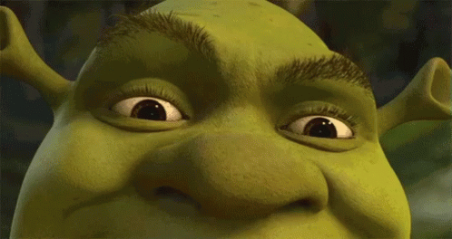 Shrek Shocked GIF - Shrek Shocked Oh No GIFs