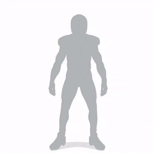 a miami dolphins player named quinn ewers is shown