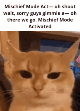 a cat with the caption mischief mode act oh shoot wait sorry guys gimme a oh there we go