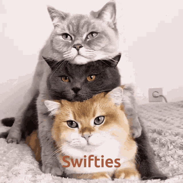 Swifties Taylor Swift GIF - Swifties Taylor Swift Tay Fans GIFs