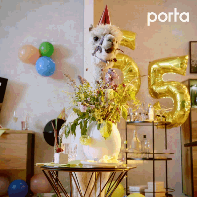 Cute Party GIF - Cute Party Celebration GIFs