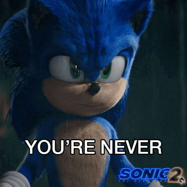 Youre Never Going To Get My Power Sonic GIF - Youre Never Going To Get My Power Sonic Sonic The Hedgehog2 GIFs
