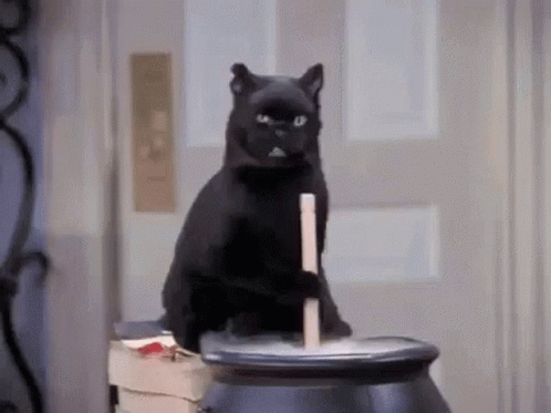 Black Cat Salem Cauldron GIF - Black Cat Salem Cauldron GIFs