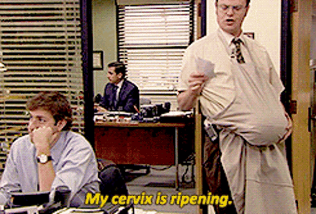 Dwight Schrute My Cervix Is Ripening GIF - Dwight Schrute My Cervix Is Ripening The Office GIFs