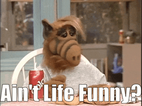 Alf Aint Life Funny GIF - Alf Aint Life Funny Life GIFs