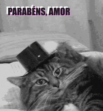 Parabéns Amor / Casal / Abraço / Namorados / Gatinho Tirando Chapéu GIF - Cat Congrats My Love Congrats GIFs